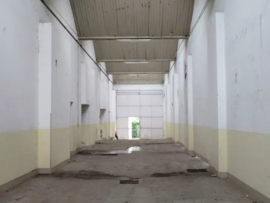 Immagine 8 di Negozio in vendita  snc a Luserna San Giovanni