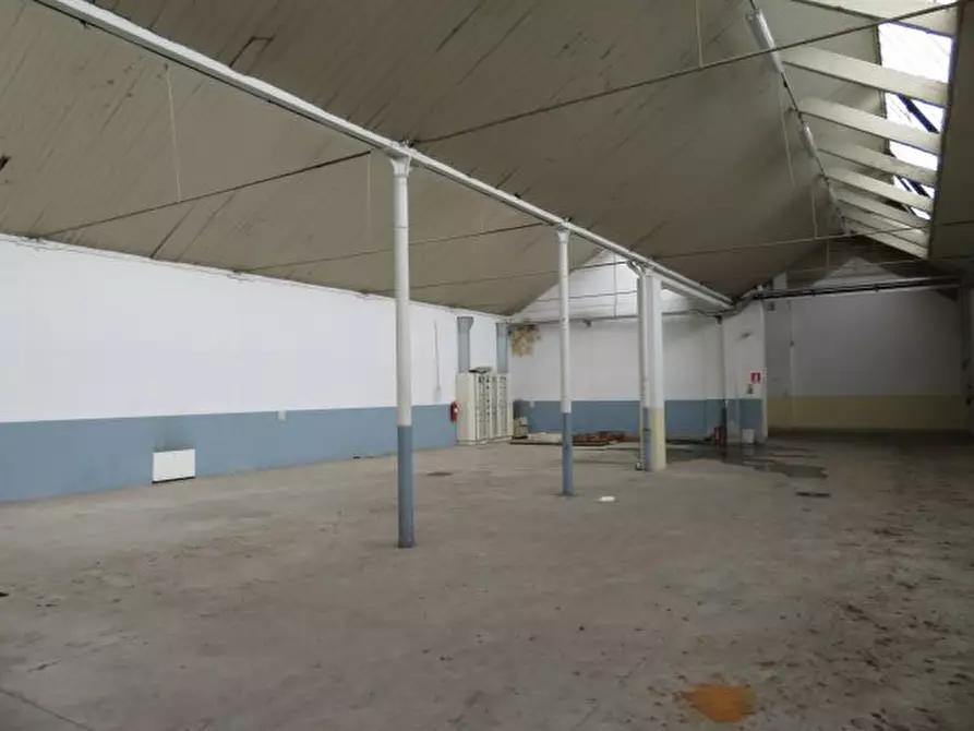 Immagine 9 di Negozio in vendita  snc a Luserna San Giovanni
