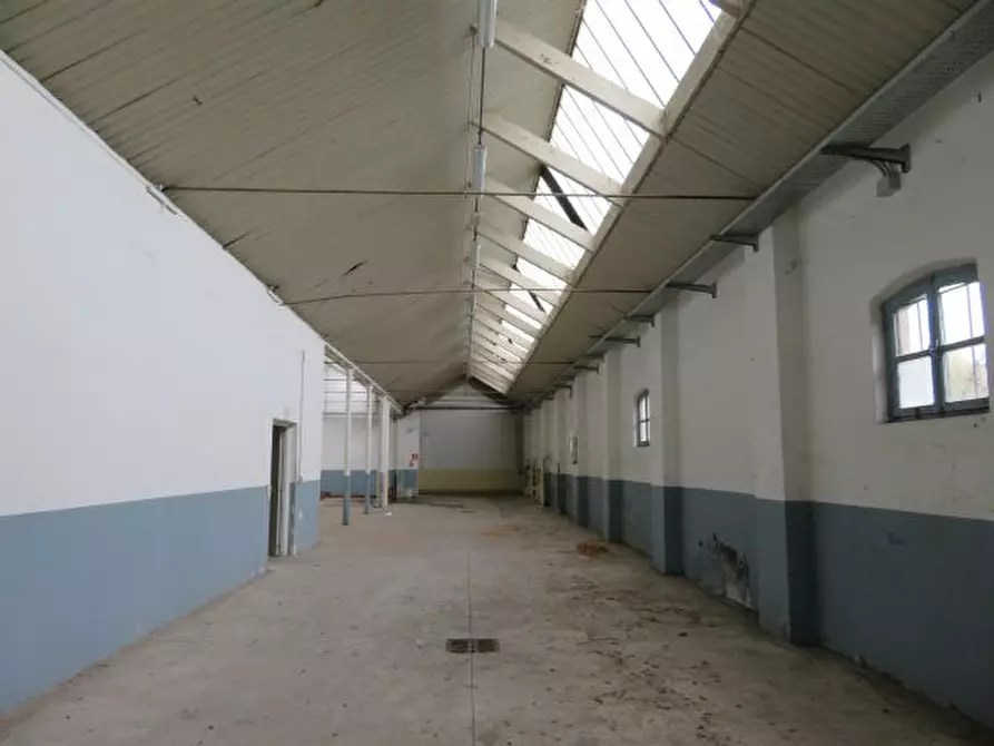 Immagine 10 di Negozio in vendita  snc a Luserna San Giovanni