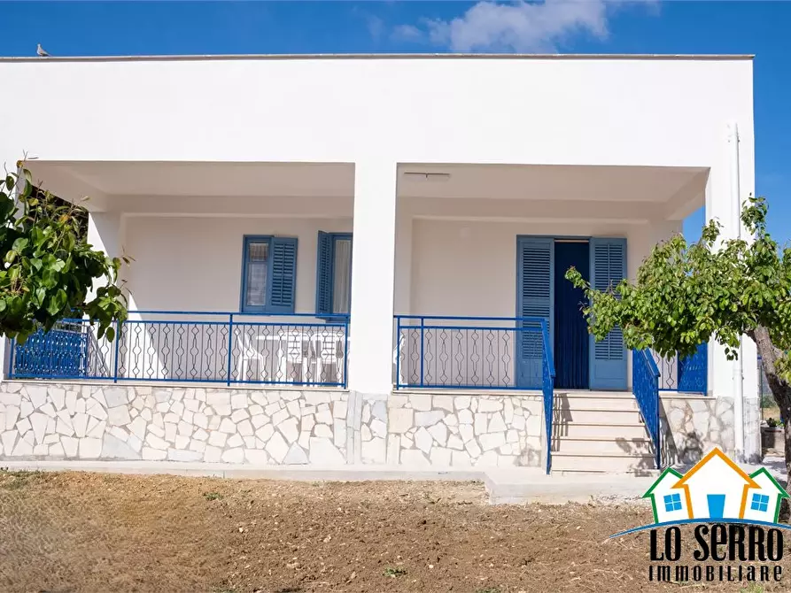 Immagine 5 di Villa in affitto  a Alcamo