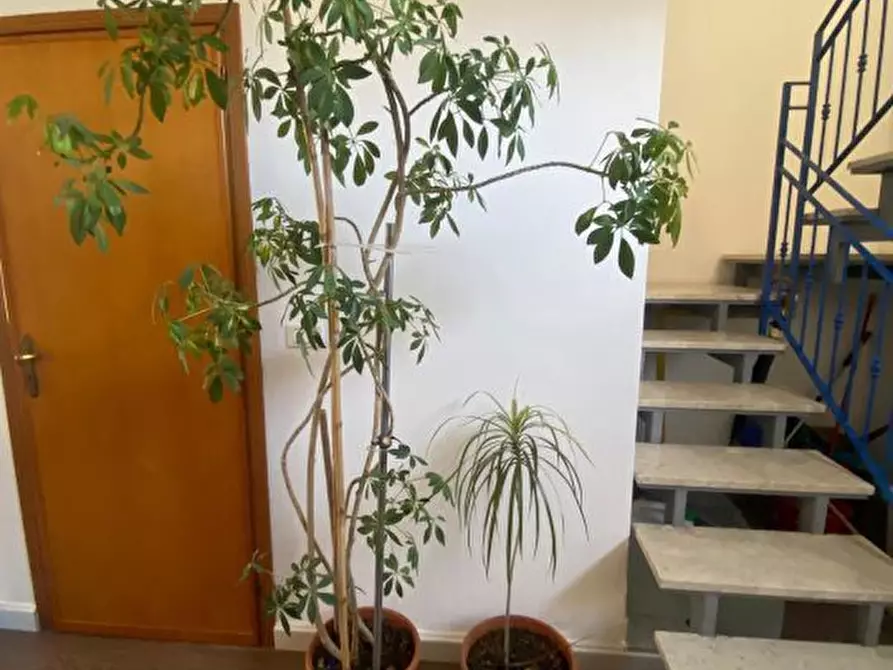 Immagine 7 di Negozio in vendita  a Alcamo