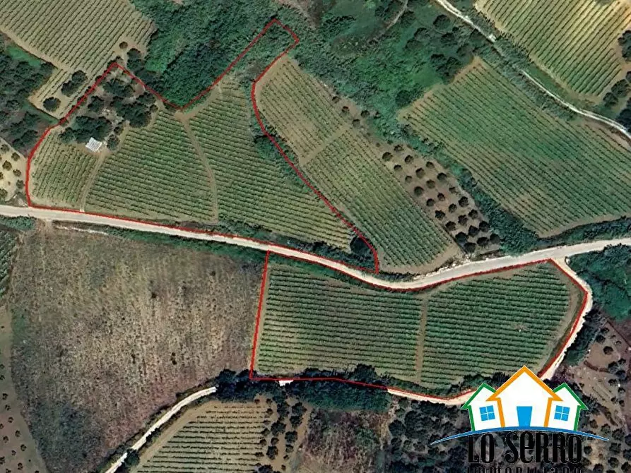 Immagine 5 di Terreno edificabile in vendita  a Alcamo