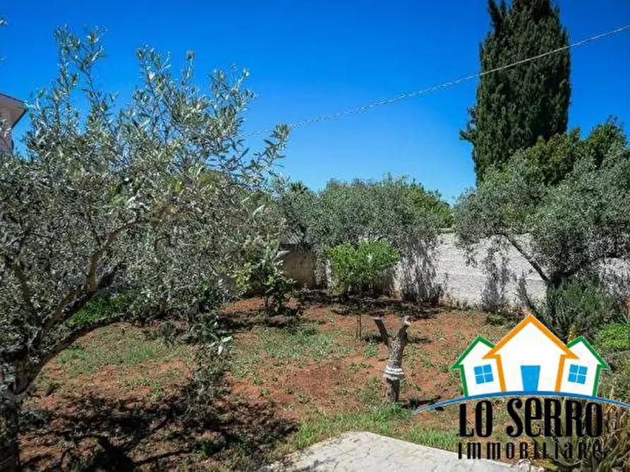 Immagine 6 di Villa in vendita  a Castelvetrano