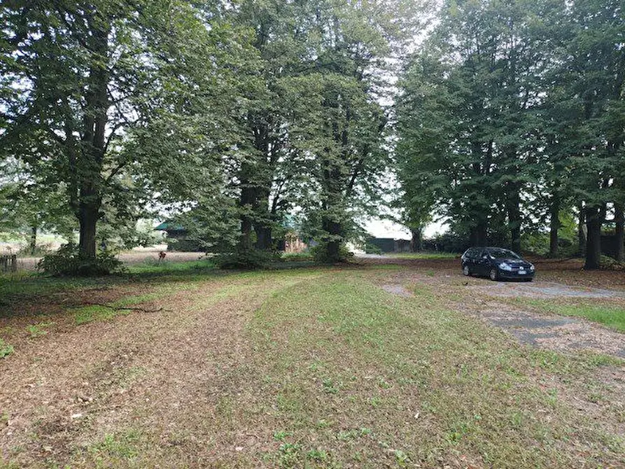 Immagine 5 di Casa indipendente in vendita  2 a Nichelino