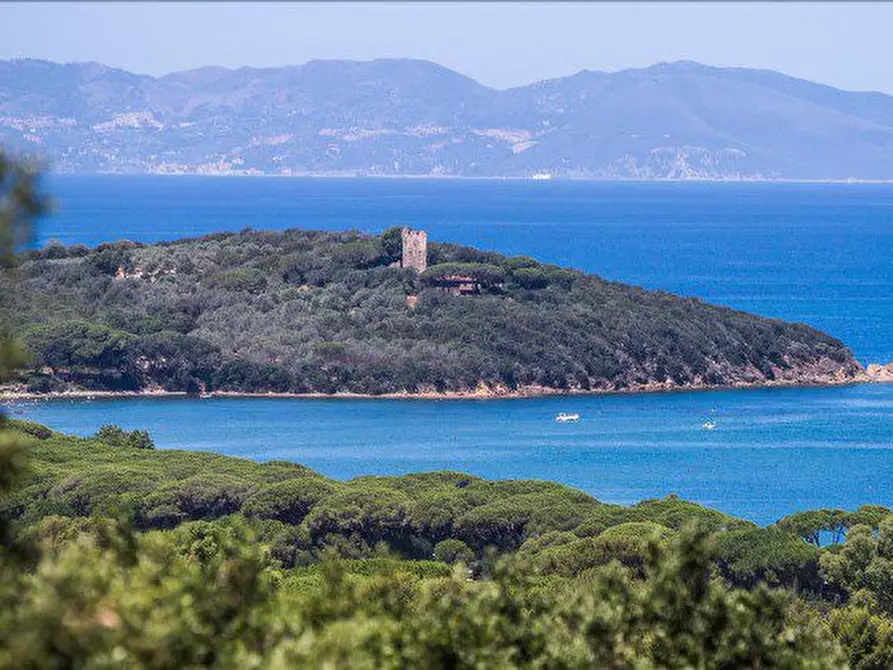Immagine 1 di Appartamento in vendita  a Castiglione Della Pescaia