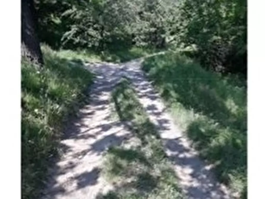 Immagine 6 di Appartamento in vendita  16 a Mele