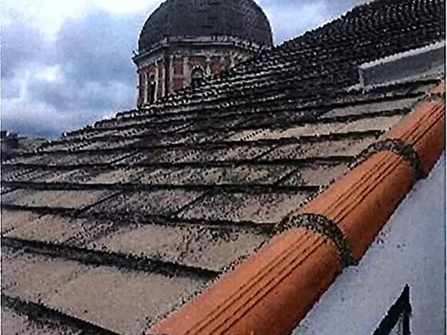 Immagine 3 di Appartamento in vendita  7 a Genova