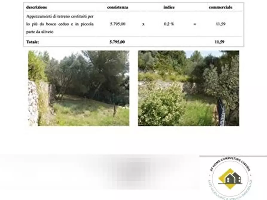 Immagine 8 di Appartamento in vendita  snc a Pietra Ligure