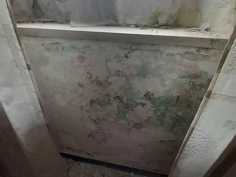 Immagine 8 di Appartamento in vendita  2 a Montoggio