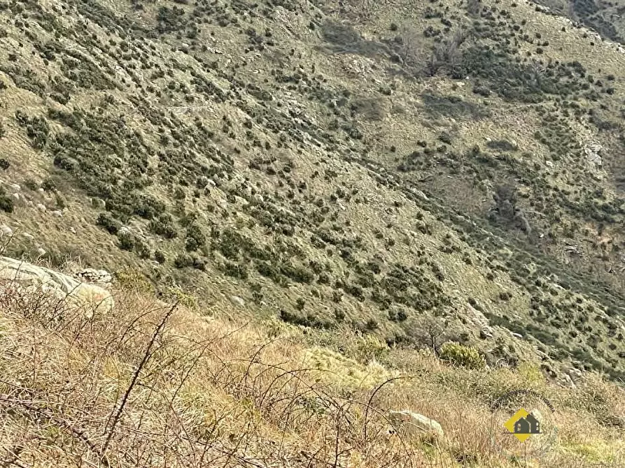 Immagine 7 di Terreno in vendita  snc a Genova