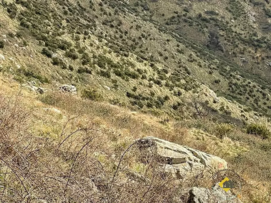 Immagine 8 di Terreno in vendita  snc a Genova