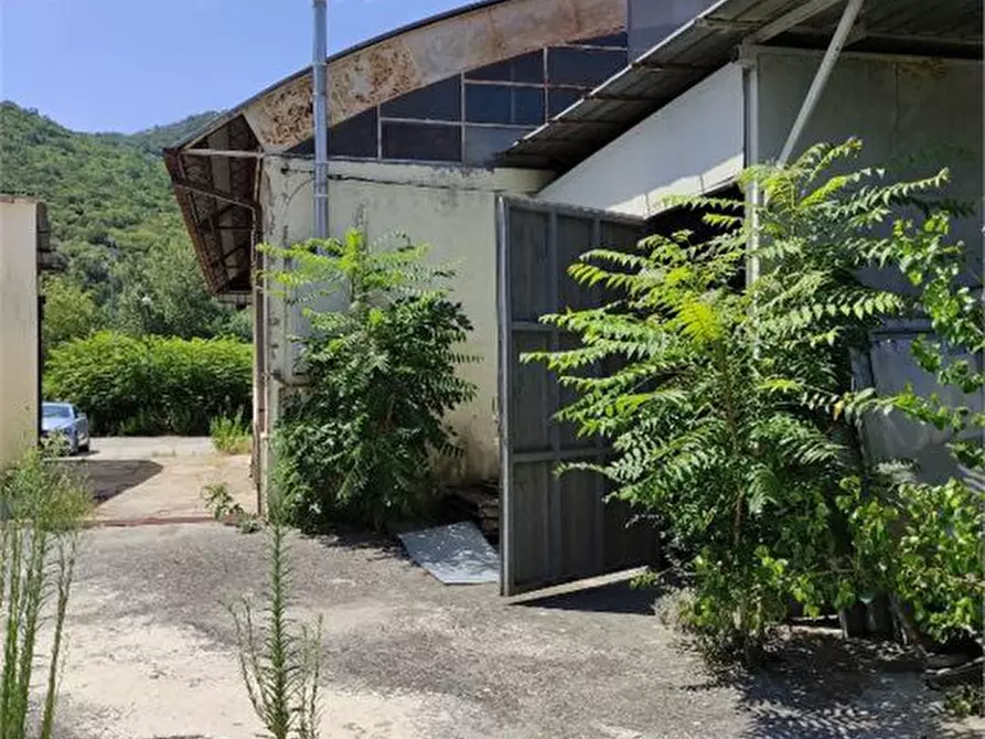 Immagine 5 di Negozio in vendita  a San Pietro Infine
