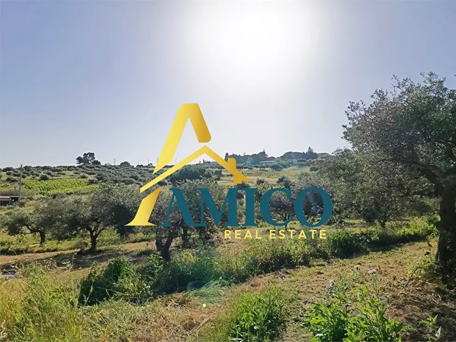 Immagine 4 di Terreno in vendita  snc a Casteldaccia