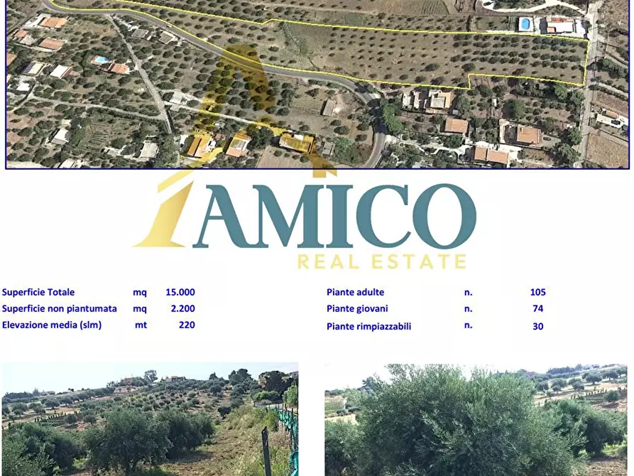 Immagine 6 di Terreno in vendita  snc a Casteldaccia