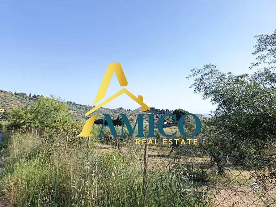 Immagine 5 di Terreno in vendita  snc a Casteldaccia