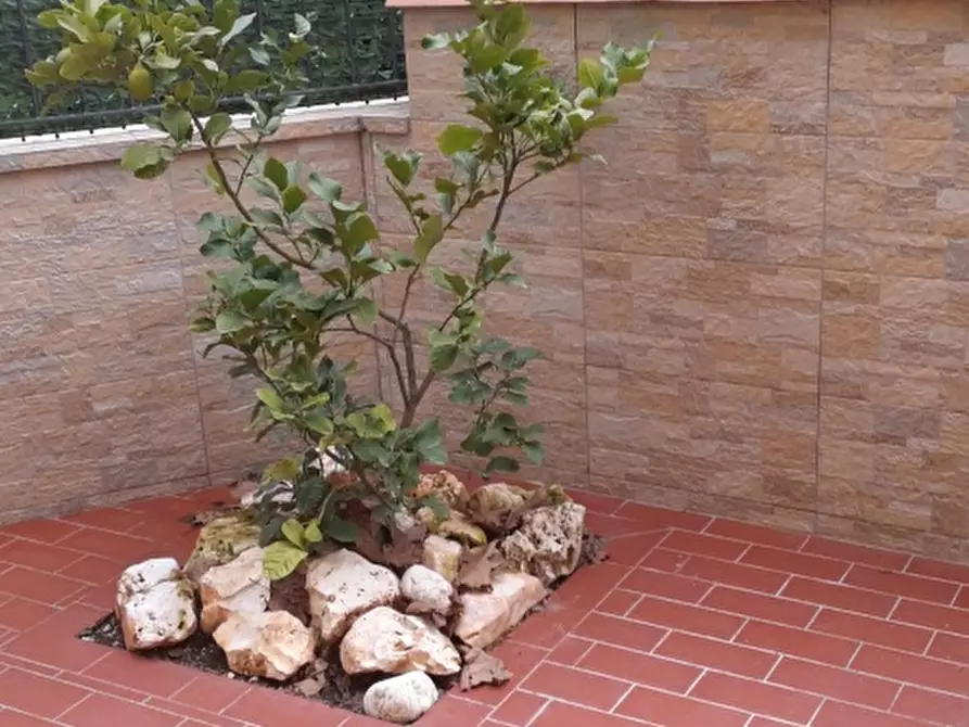 Immagine 6 di Casa semindipendente in vendita  a Arcola