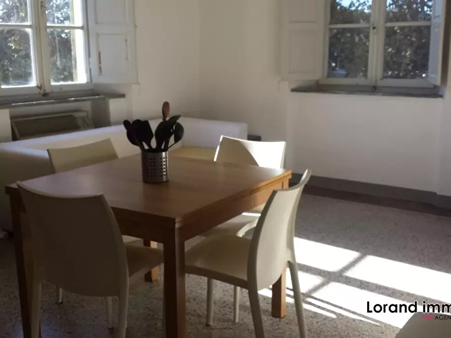 Immagine 7 di Appartamento in affitto  a Pisa