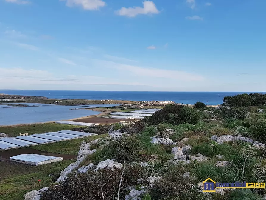 Immagine 2 di Terreno in vendita  a Pachino
