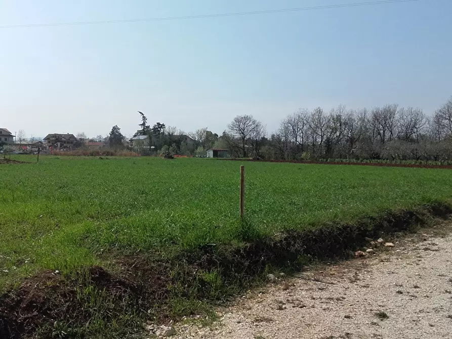 Immagine 3 di Terreno edificabile in vendita  a Cepagatti