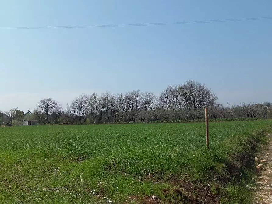 Immagine 4 di Terreno edificabile in vendita  a Cepagatti