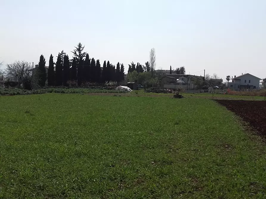 Immagine 8 di Terreno edificabile in vendita  a Cepagatti