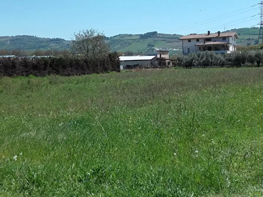 Immagine 4 di Terreno edificabile in vendita  a Cepagatti