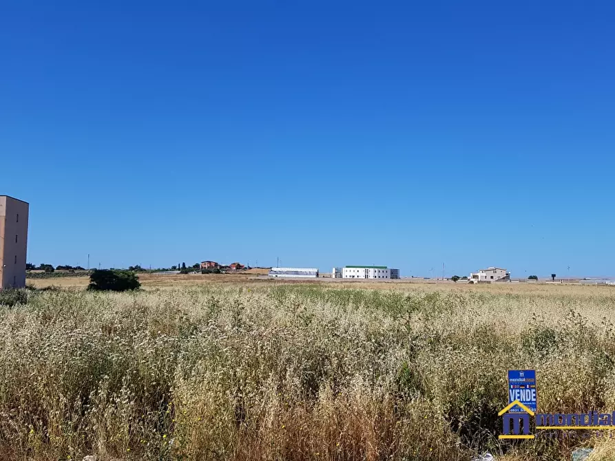 Immagine 4 di Terreno edificabile in vendita  a Pachino