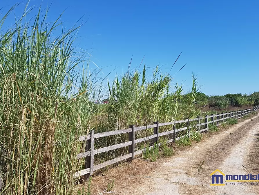 Immagine 2 di Terreno in vendita  a Pachino