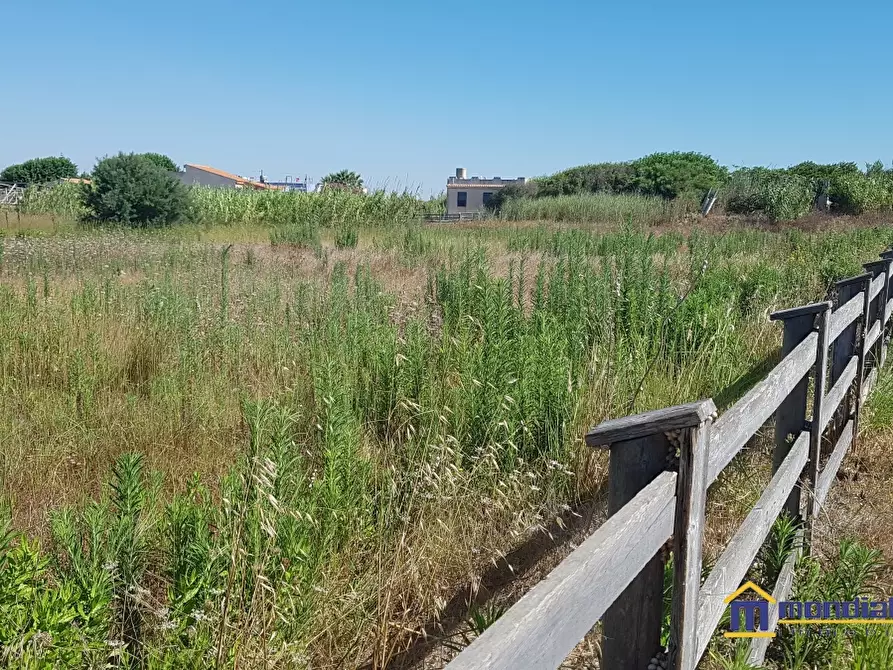 Immagine 4 di Terreno in vendita  a Pachino