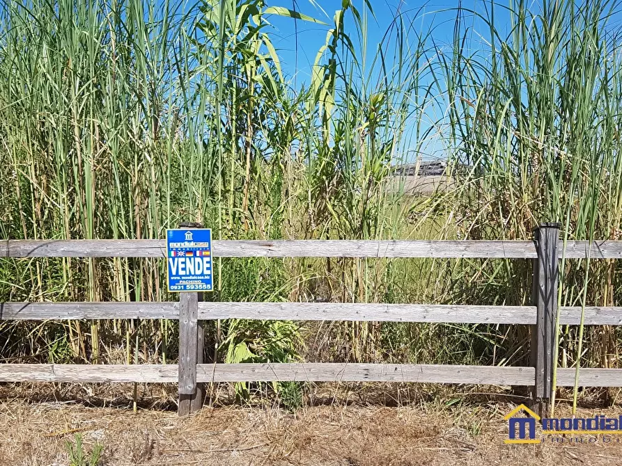 Immagine 5 di Terreno in vendita  a Pachino