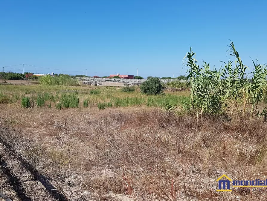 Immagine 6 di Terreno in vendita  a Pachino