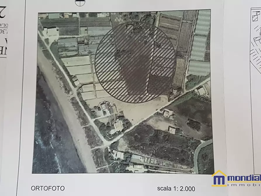 Immagine 9 di Terreno in vendita  a Pachino