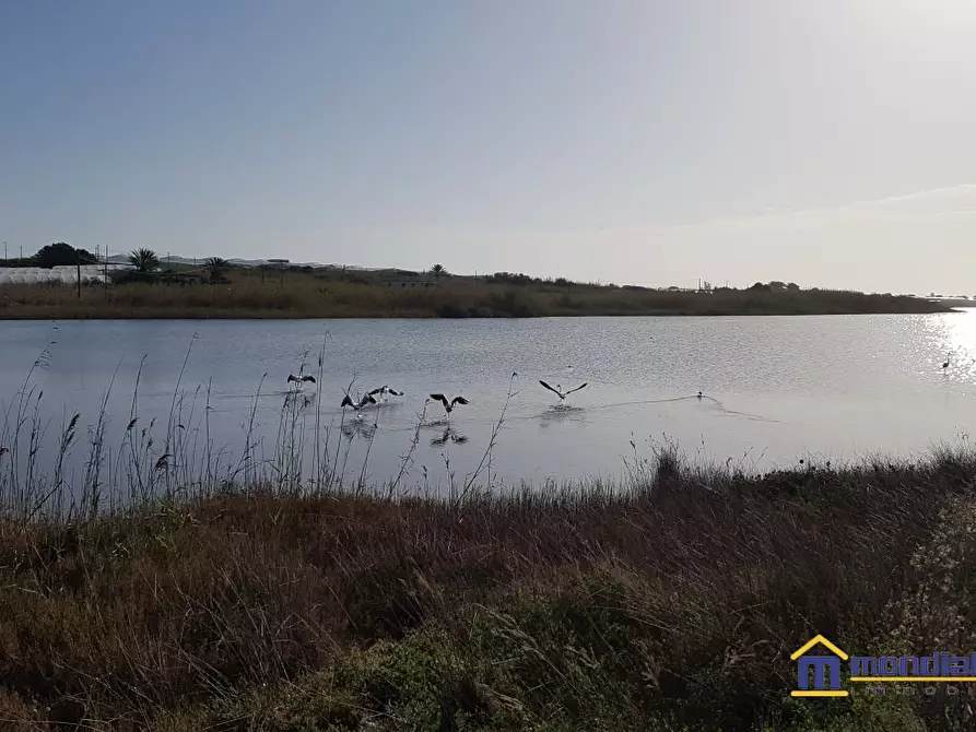 Immagine 10 di Rustico / casale in vendita  a Pachino