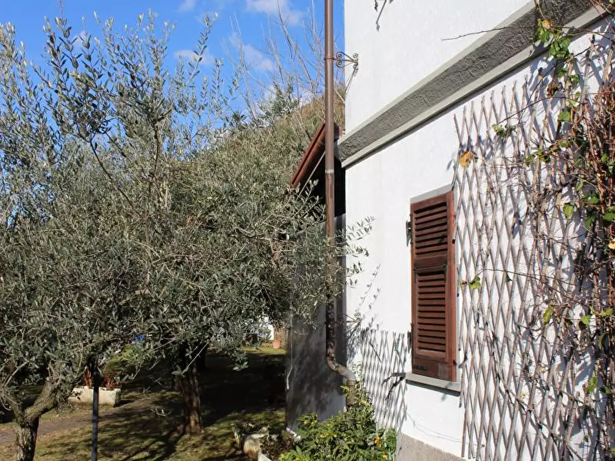 Immagine 3 di Casa semindipendente in vendita  a Carrara