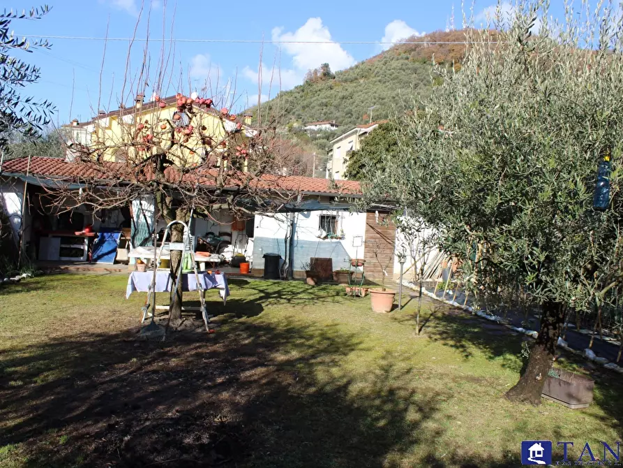 Immagine 5 di Casa semindipendente in vendita  a Carrara