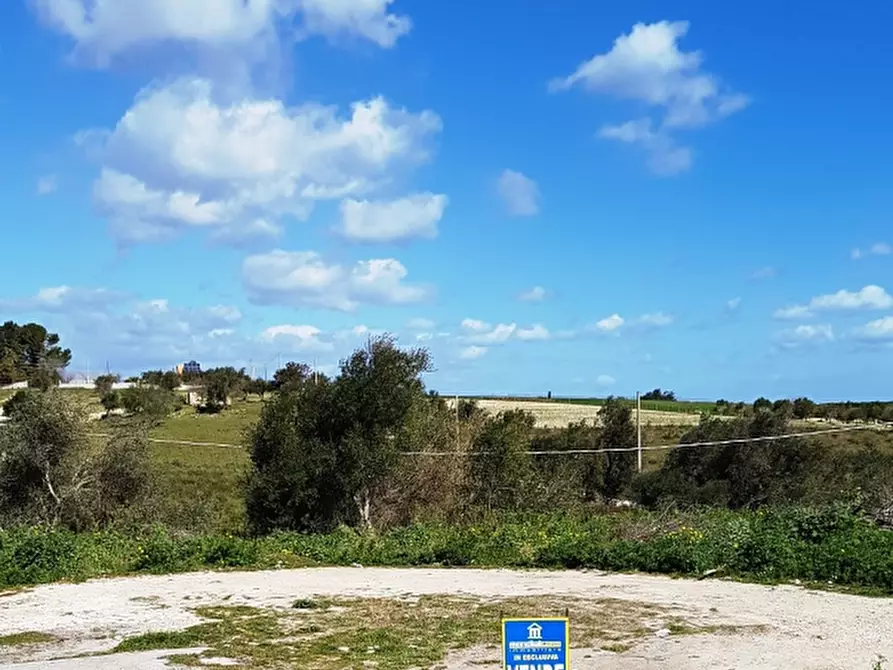 Immagine 6 di Terreno edificabile in vendita  a Pachino