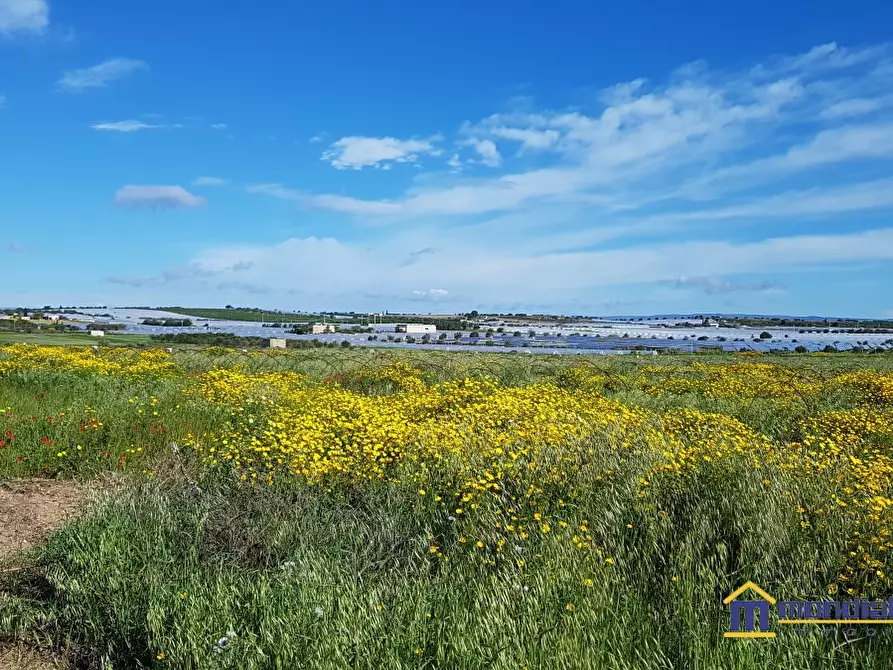 Immagine 2 di Terreno in vendita  a Noto