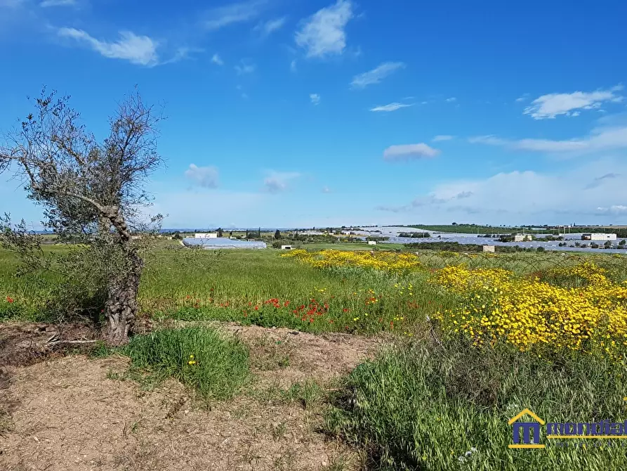 Immagine 3 di Terreno in vendita  a Noto