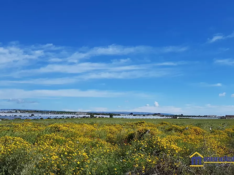 Immagine 5 di Terreno in vendita  a Noto