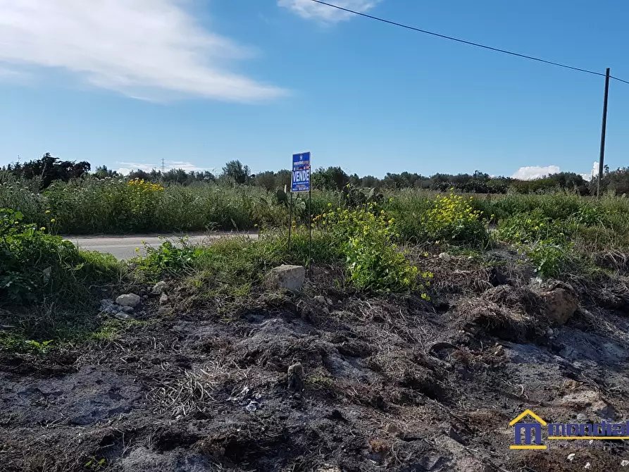 Immagine 2 di Terreno in vendita  a Noto