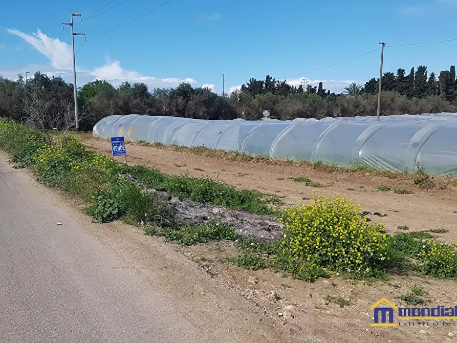 Immagine 3 di Terreno in vendita  a Noto