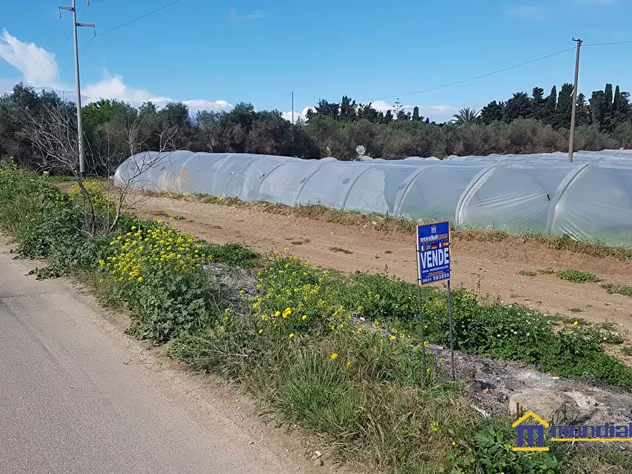 Immagine 4 di Terreno in vendita  a Noto