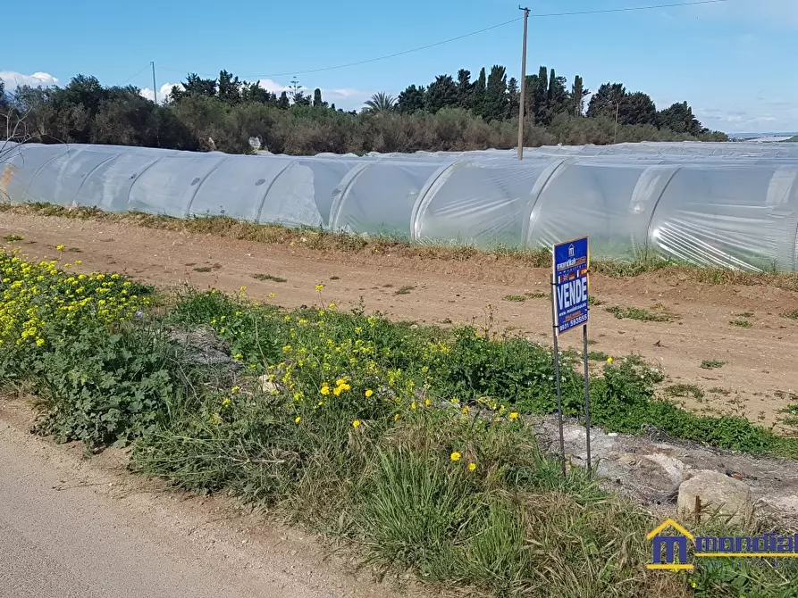 Immagine 5 di Terreno in vendita  a Noto