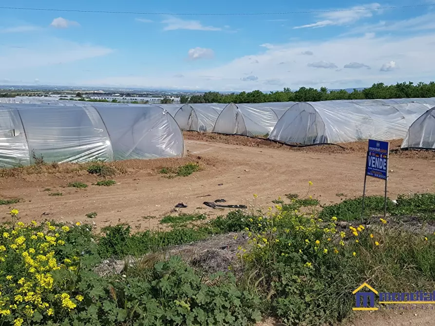 Immagine 6 di Terreno in vendita  a Noto