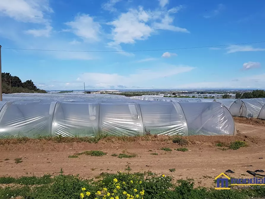 Immagine 7 di Terreno in vendita  a Noto