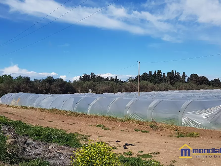 Immagine 8 di Terreno in vendita  a Noto