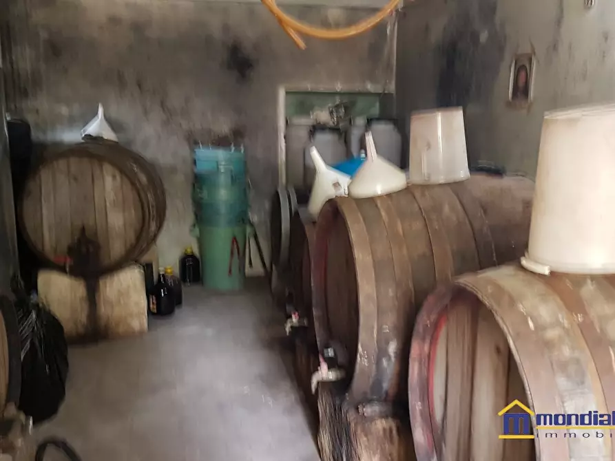 Immagine 5 di Terreno in vendita  a Noto