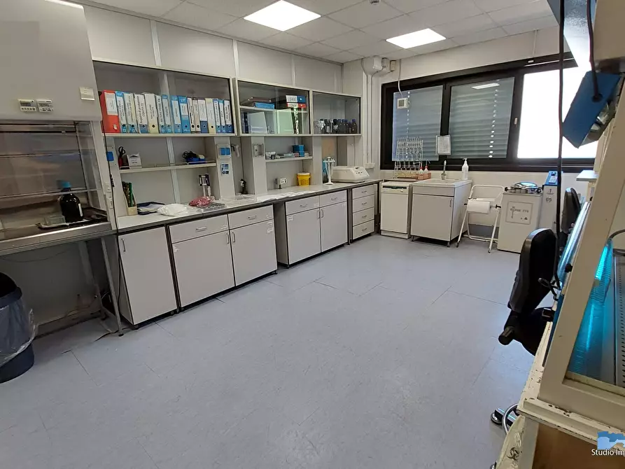 Immagine 4 di Capannone industriale in affitto  a Lessolo