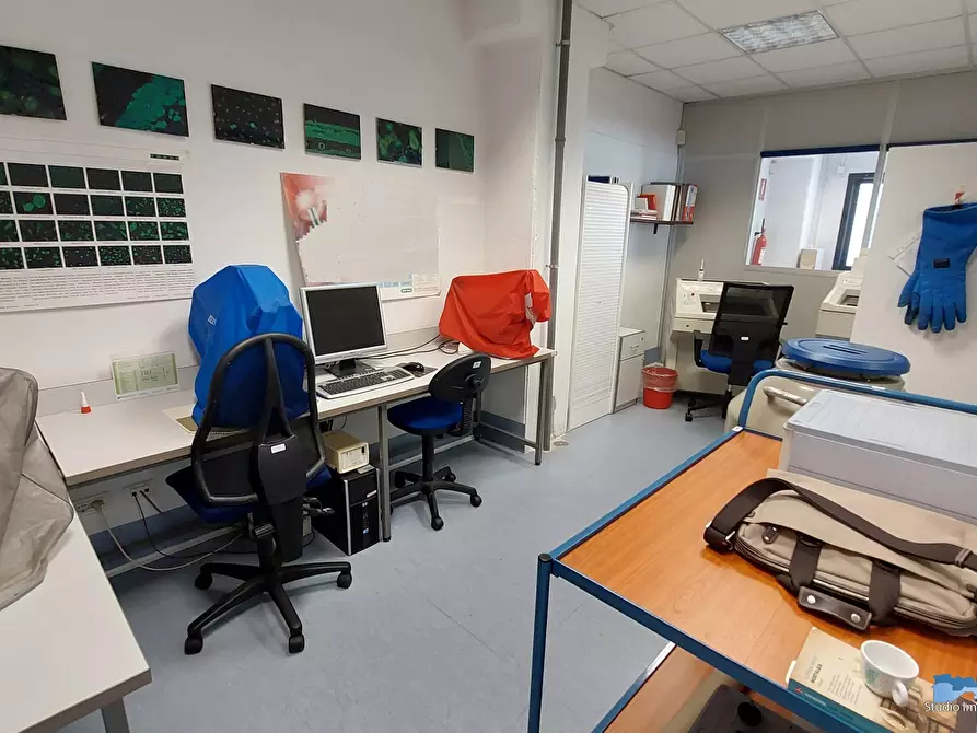 Immagine 6 di Capannone industriale in affitto  a Lessolo