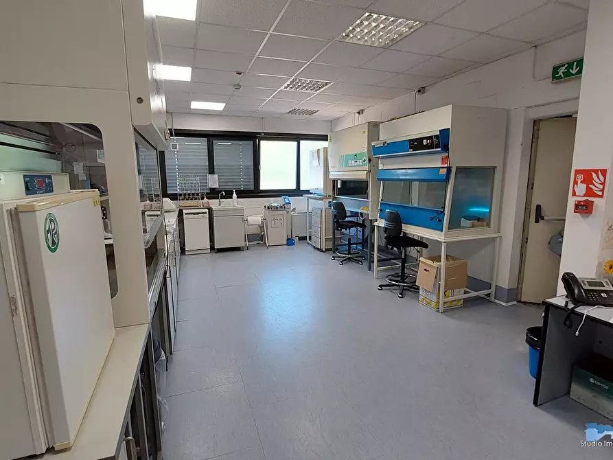 Immagine 7 di Capannone industriale in affitto  a Lessolo